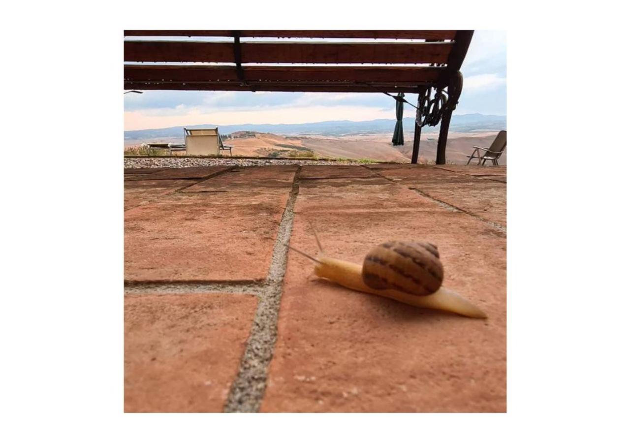 Agriturismo Le Crete - Appartamenti Asciano Luaran gambar