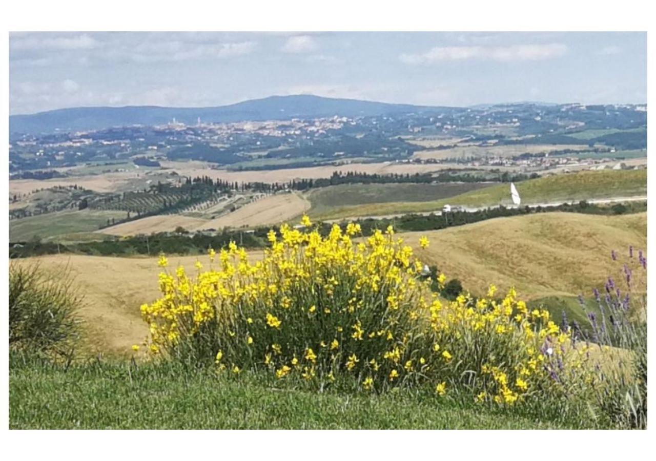Agriturismo Le Crete - Appartamenti Asciano Luaran gambar