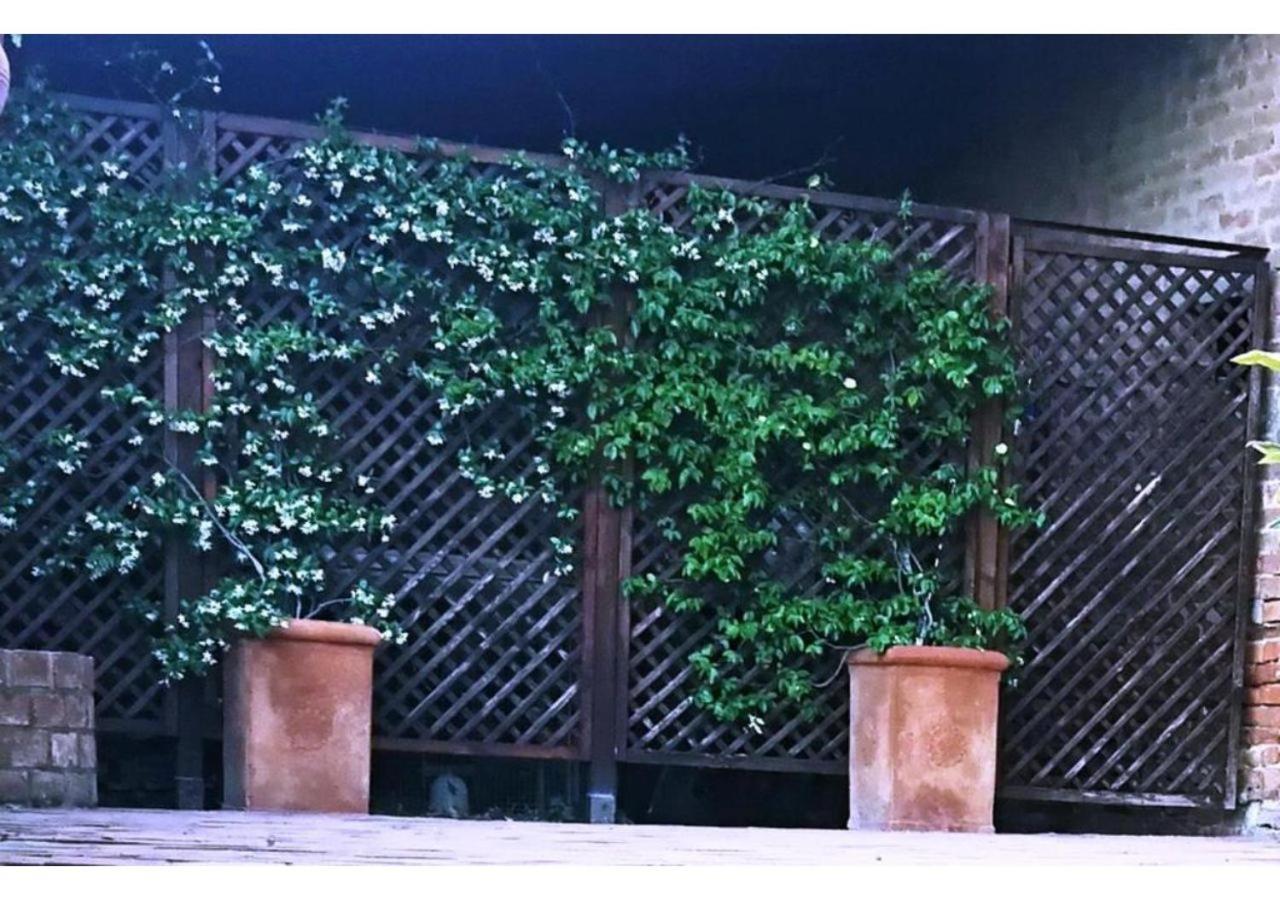 Agriturismo Le Crete - Appartamenti Asciano Luaran gambar